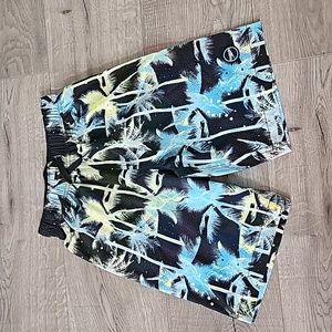 Speedo Men's Swimming Trunks